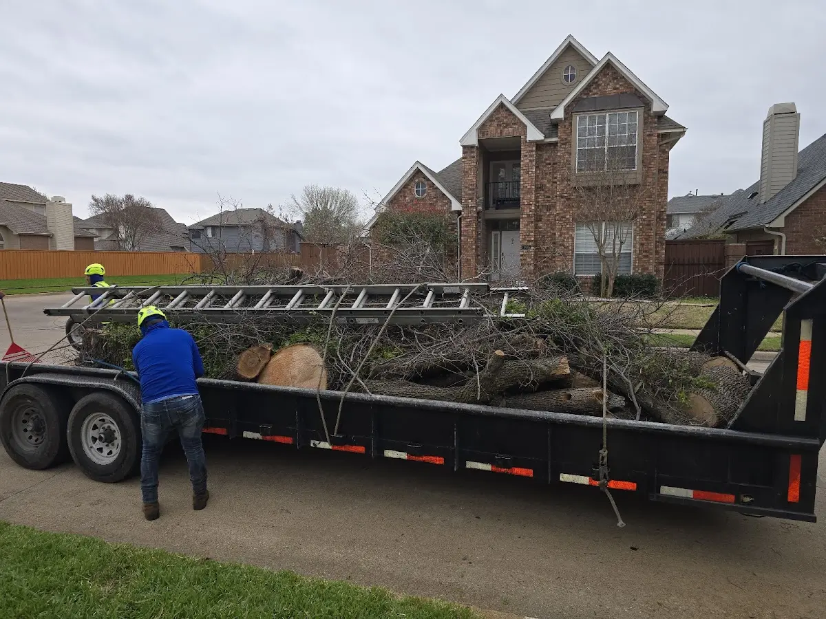 Expert Tree Pest Control with proper safety equipment in Saint Francis